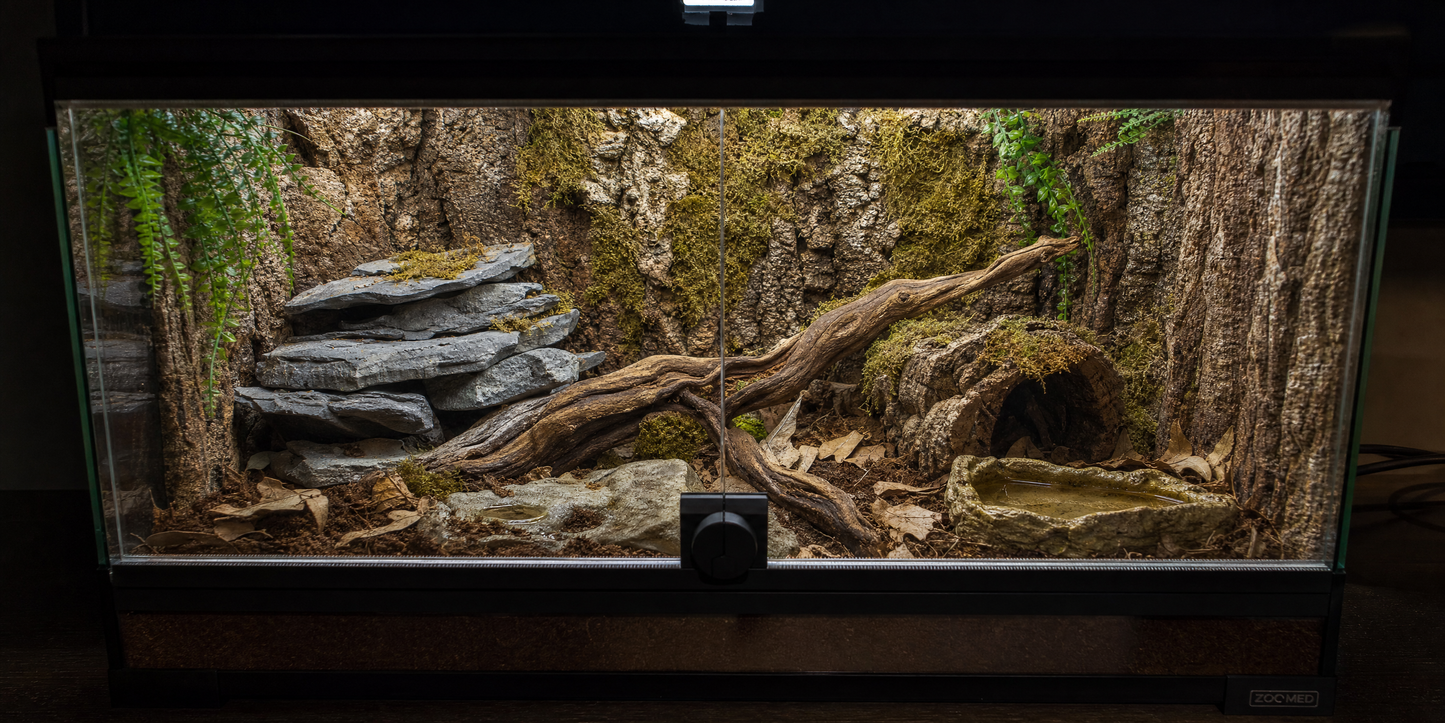 20-Gallon Glass Reptile Terrarium
