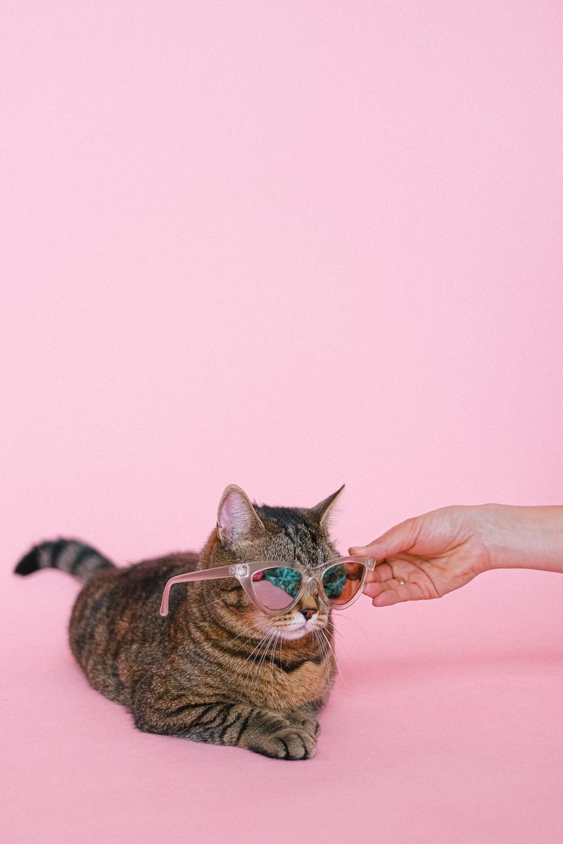 GPS Pet Tracker for Cats and Dogs