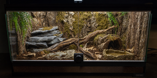 20-Gallon Glass Reptile Terrarium